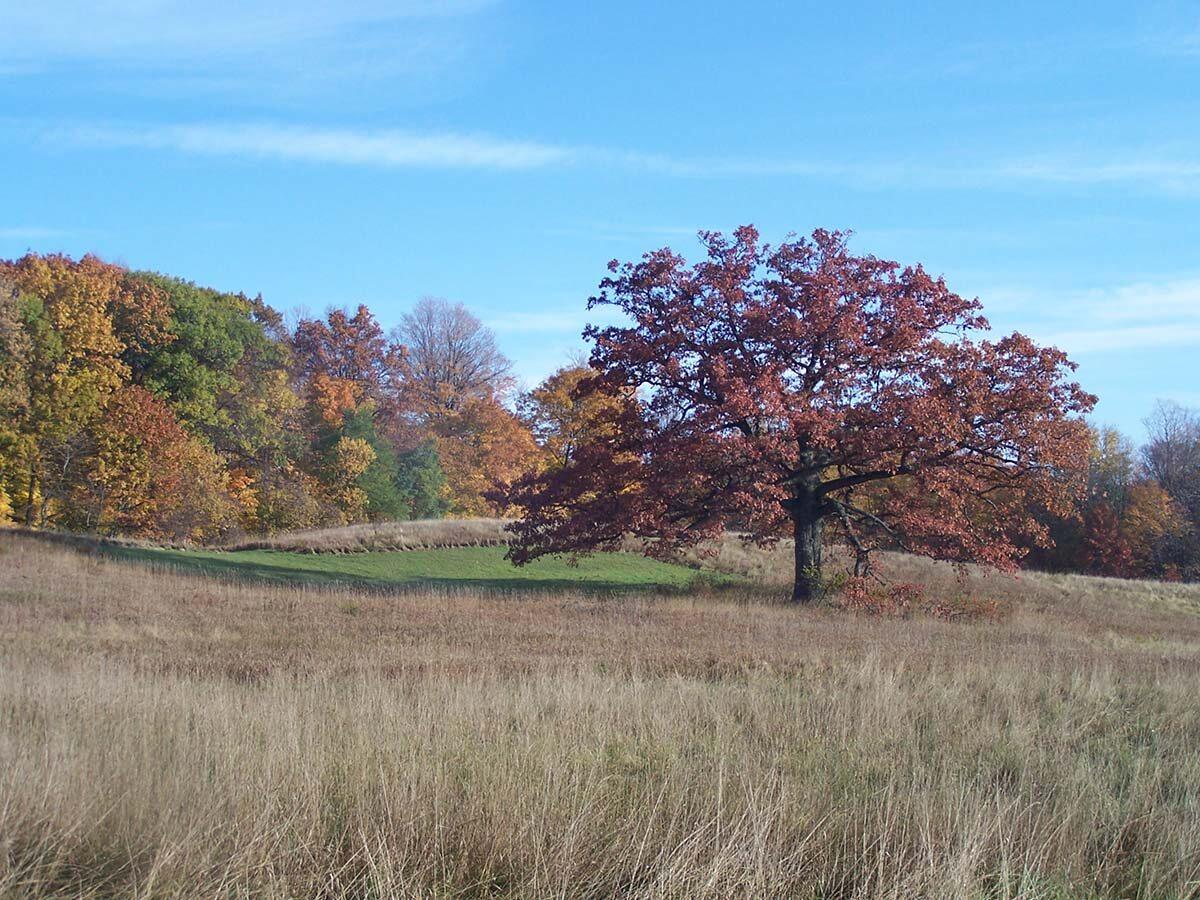 Tollgate Fields Early Fall. Photo Credit: Roy Prentice